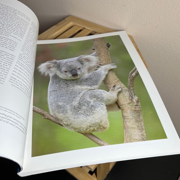 First Edition Softcover “John Shaw's Nature Photography Field Guide” 2000 - Picture 8 of 10